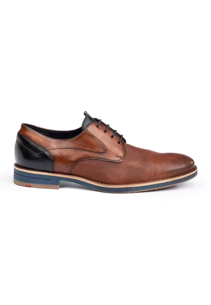 harris_2.webp LLOYD HARRIS Braun Best Sale