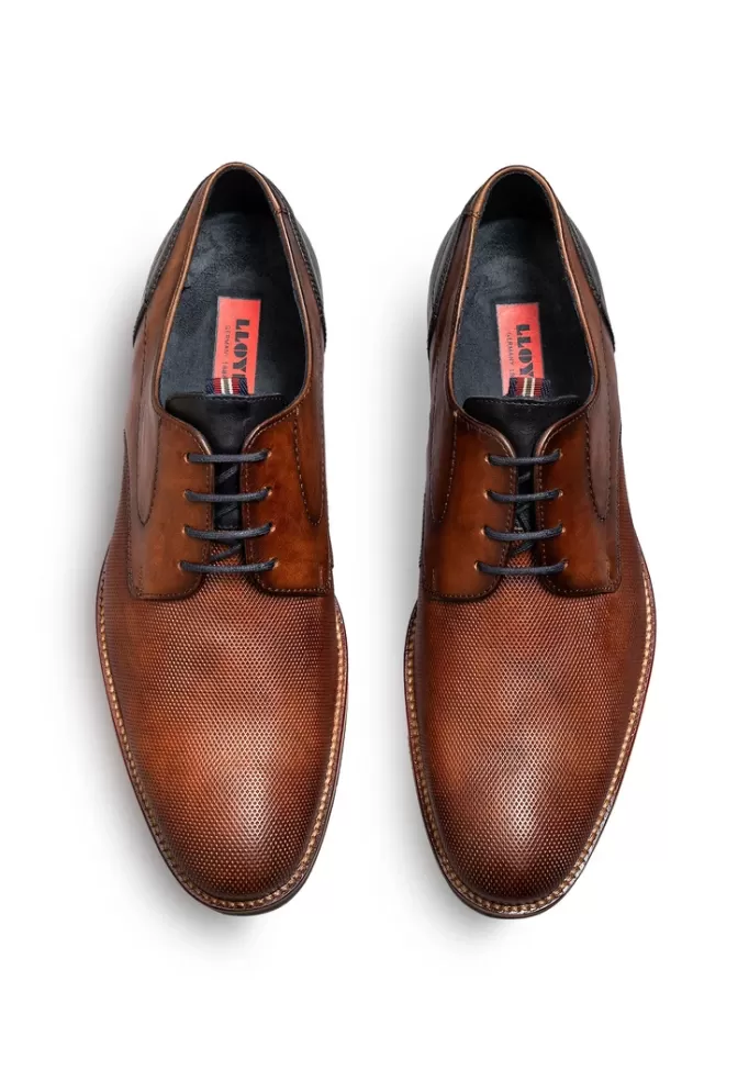 harris_3.webp LLOYD HARRIS Braun Best Sale